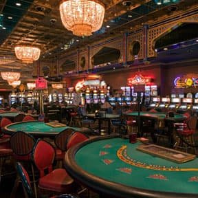 jokerbola login live dealer table interface